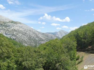 Bosques y Leyendas del Alto Carrión; experiencias alegría cambio en tu vida proactivo comida sana
